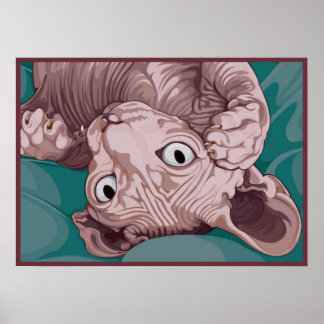 Playful Sphinx Poster