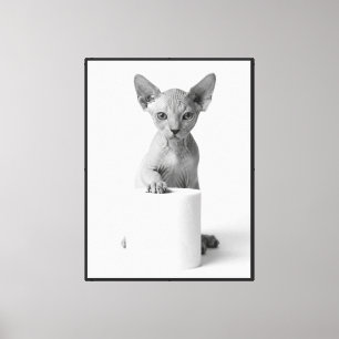 Playful Sphynx Cat Guarding Toilet Paper Elegant Canvas Print