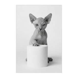 Playful Sphynx Cat Guards Toilet Paper Elegant Art