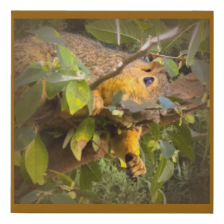 Playful Squirrel Peeking Through Leaves Faux Canvas Print