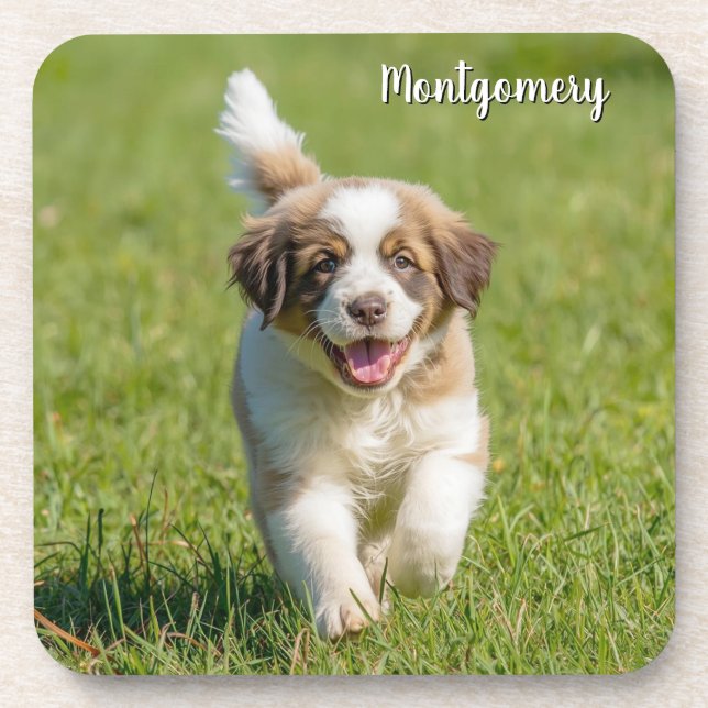 Playful St. Bernard Personalized Coaster Set (Front)
