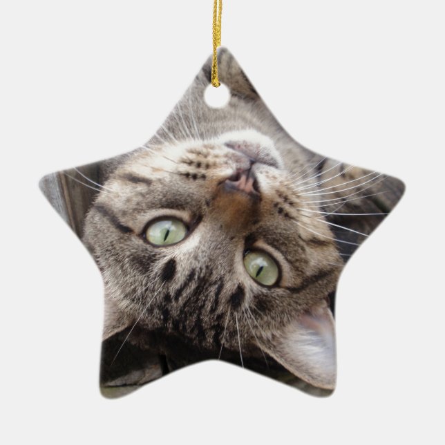 Playful Striped Feral Tabby Cat Ceramic Ornament (Front)