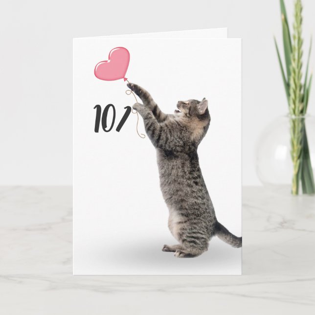 playful tabby cat for 101st birthday card (Front)