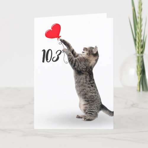 playful tabby cat for 103rd birthday card