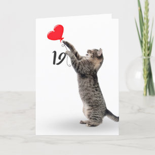 playful tabby cat for 19th birthday card