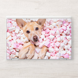 Playful Tan Dog Surrounded by Pink and White Marsh HP Laptop Skin
