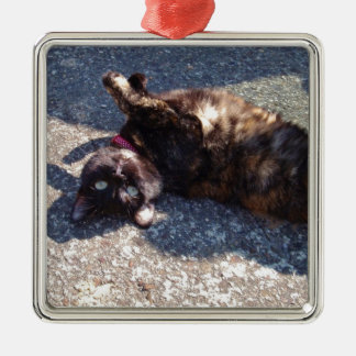 Playful Tortoiseshell Cat Metal Ornament