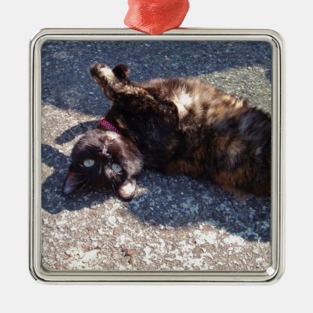 Playful Tortoiseshell Cat Metal Ornament (Front)