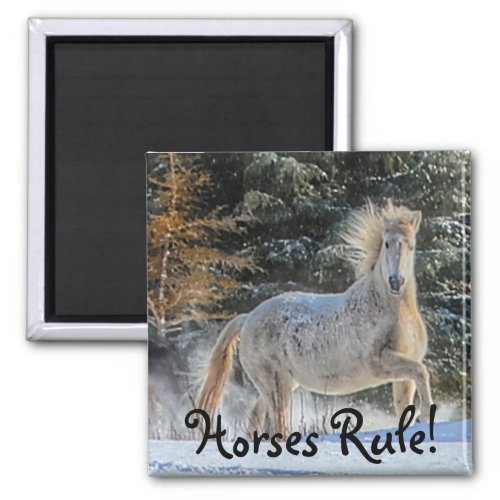 Playful White Horse in Winter Snows Photo Magnet