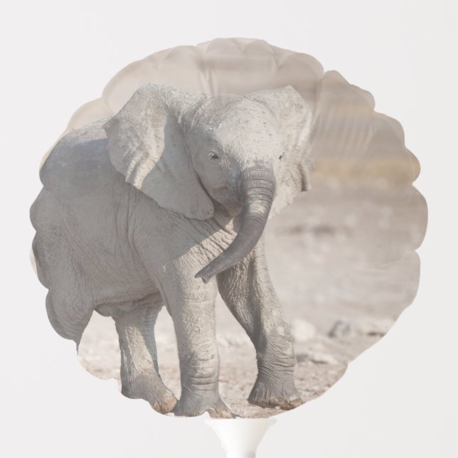 Playful young elephant balloon (Front)