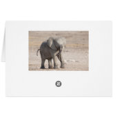 Playful young elephant cards (Back Horizontal)