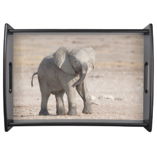 Playful young elephant serving tray