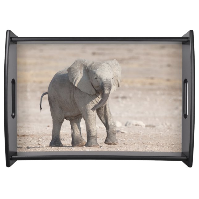 Playful young elephant serving tray (Front)