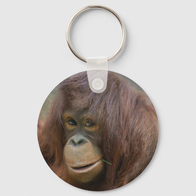 Playful Young Orangutan Baby Keychain (Front)