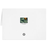 Playground for Children 15 Shadow Teeter-totter (Back Horizontal)