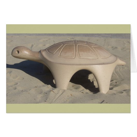 Playground Turtle Cards (Front Horizontal)