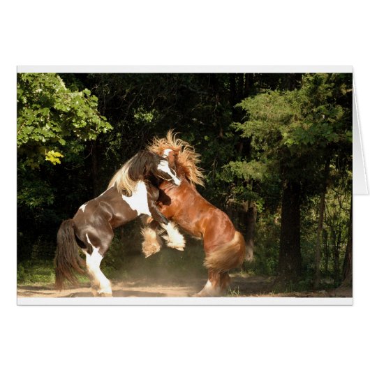 Playing at Sunset (Front Horizontal)