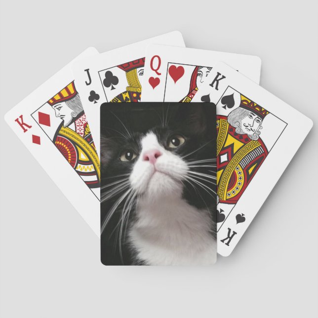 playing cards (Back)