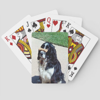 Playing Cards