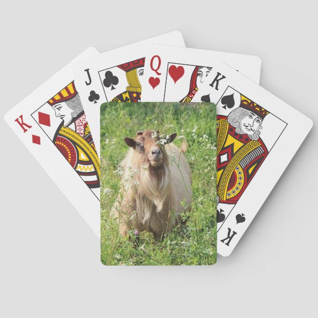 Playing Cards   "Goat Themed " (Back)