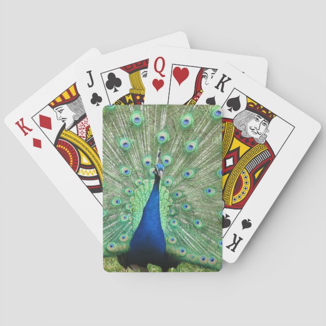 Playing Cards - Peacock (Back)