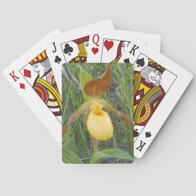 Playing Cards, Standard Poker Cards (Back)