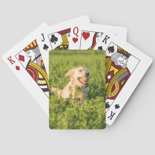 Playing Cards with front image of Golden Retriever (Back)