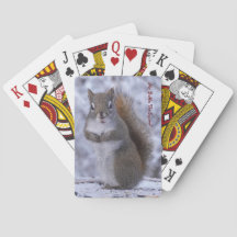 Playing cards with Mr. Bickles The Squirrel