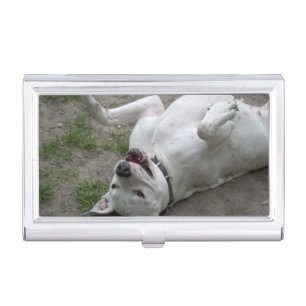 Playing Dogo Argentino Business Card Case
