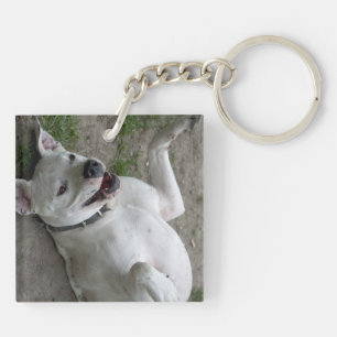 Playing Dogo Argentino Keychain