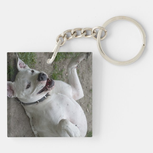 Playing Dogo Argentino Keychain (Back)