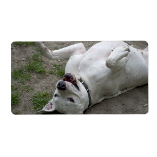 Playing Dogo Argentino Label