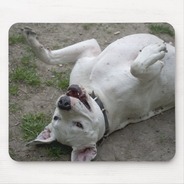 Playing Dogo Argentino Mouse Pad (Front)