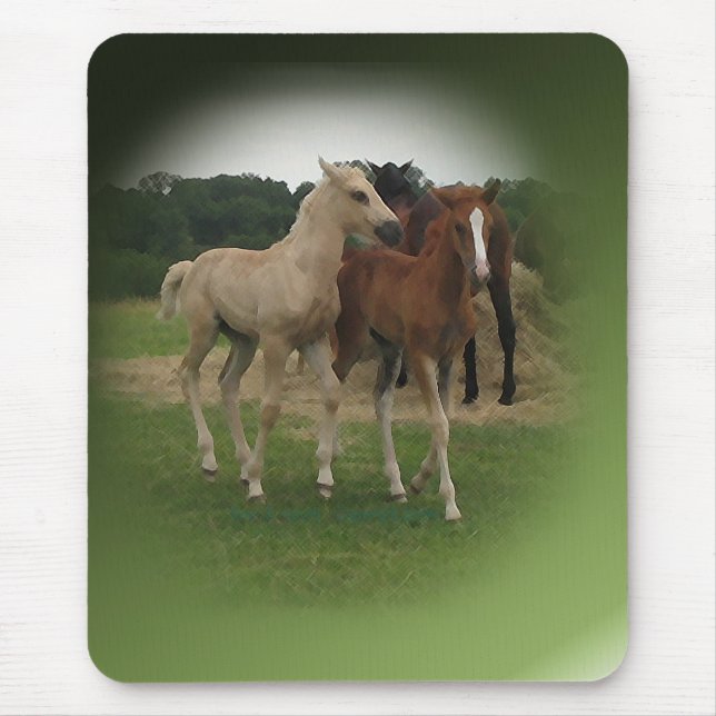Playing Foals Crosstitched Mouse Pad (Front)