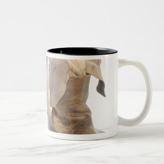 playing,friendly,curiosity Two-Tone coffee mug (Right)