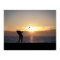 Playing Golf At Sunset
