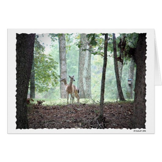 Playing in the Woods Cards (Front Horizontal)