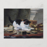 Playing Kitten by Henriëtte Ronner-Knip Postcard