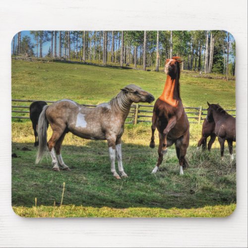 Playing Pinto Stallion  Sorrel Mare Equine Photo Mouse Pad