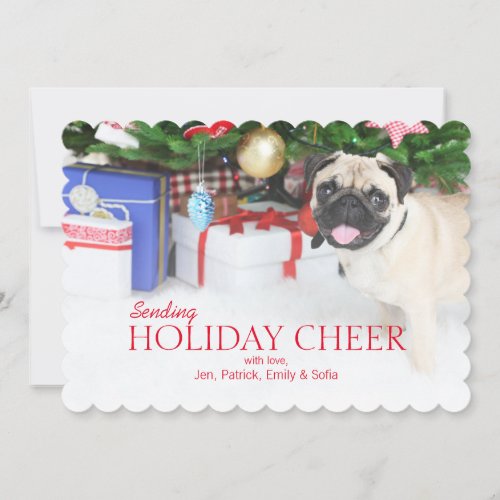 Playing Pug Dog Holiday Card