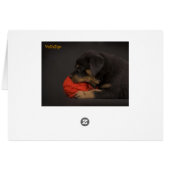 Playing Puppy 2 Cards (Back Horizontal)