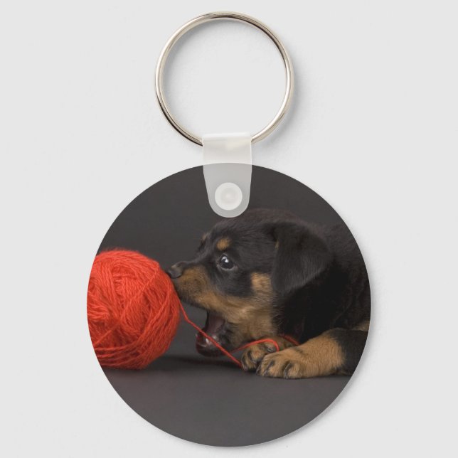 Playing Puppy 4 Keychain (Front)