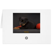 Playing Puppy 5 (Back Horizontal)