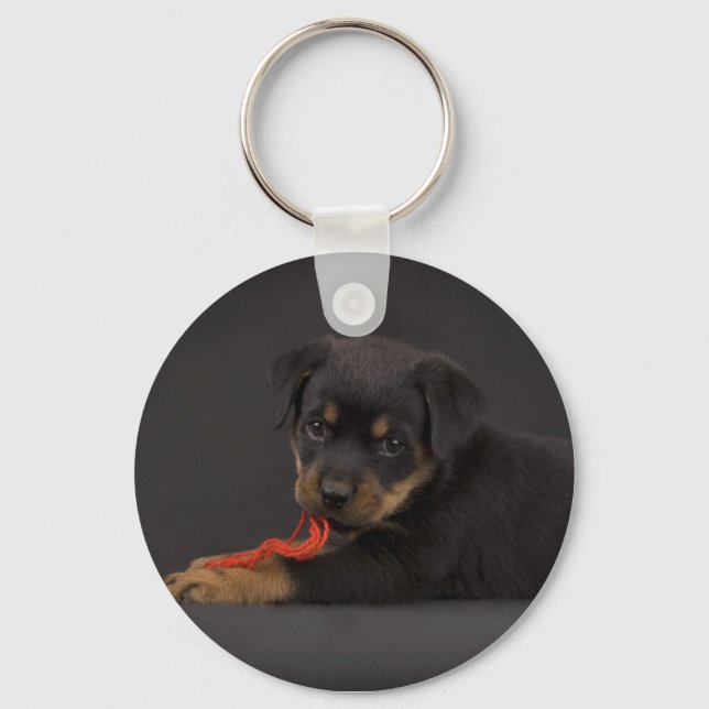 Playing Puppy 5 Keychain (Front)