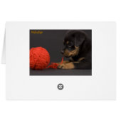 Playing Puppy 6 (Back Horizontal)