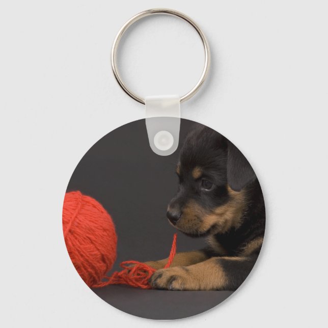 Playing Puppy 6 Keychain (Front)