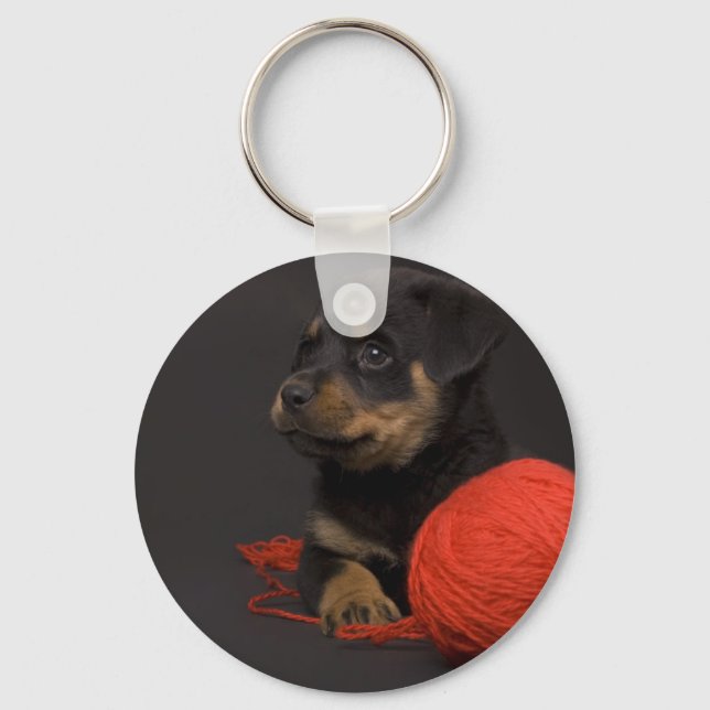 Playing Puppy 7 Keychain (Front)