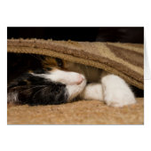 Playing Under The Rug (Front Horizontal)