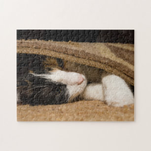 Playing Under The Rug Jigsaw Puzzle