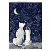 "Playing with Stars" (Front)